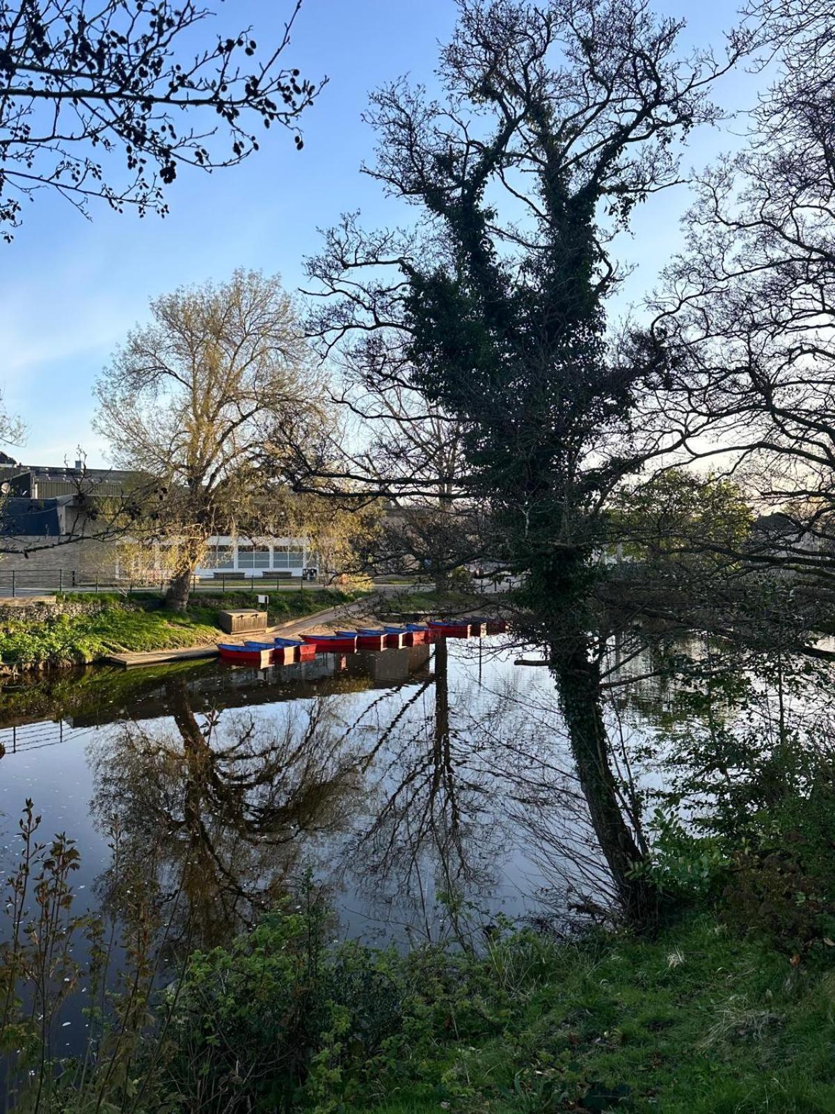 The Secret Cottage - Morpeth Exteriér fotografie